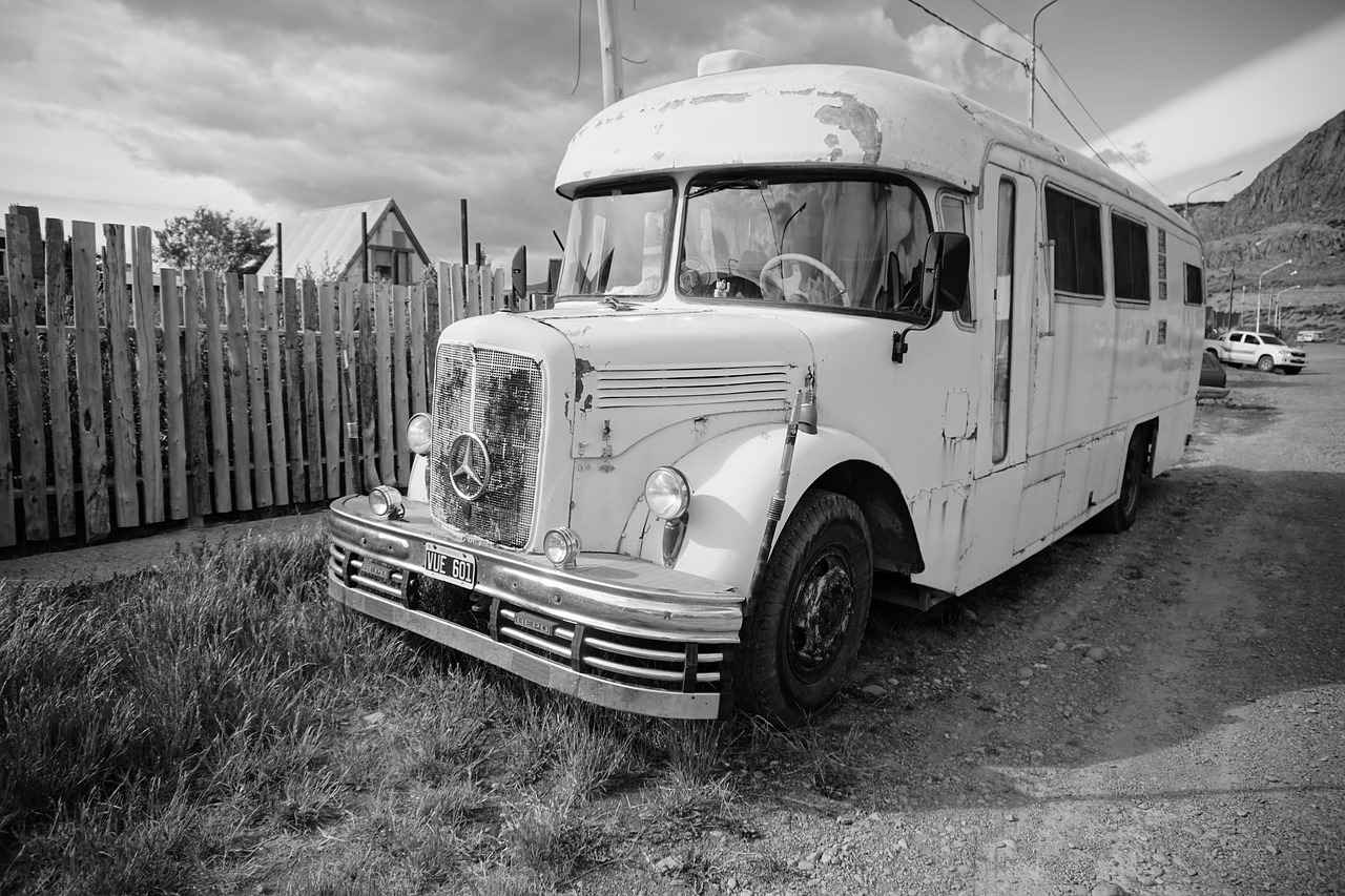 Genel Ceza Hukuku Soruları