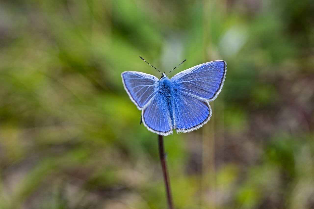 Avukatsız boşanma süreci zor mu?
