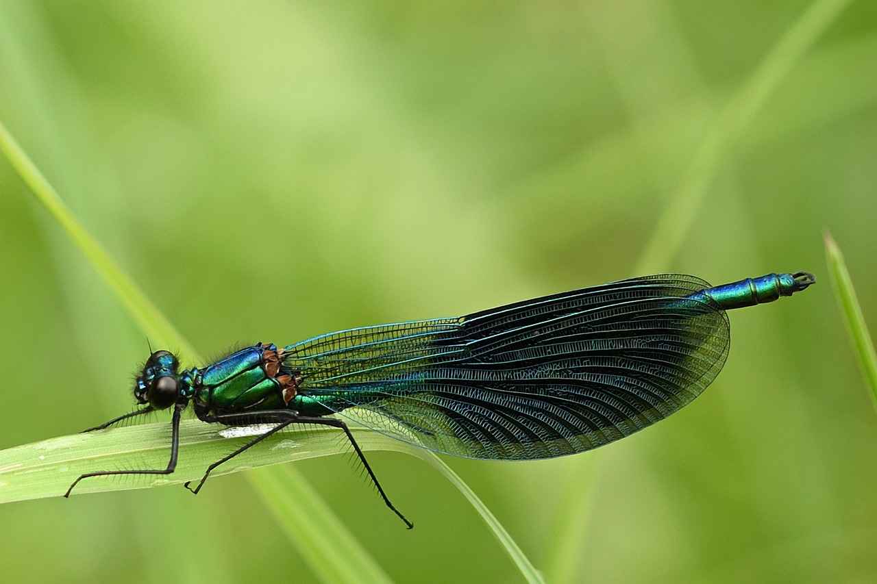 Boşanma davası açmadan ayrı yaşamak suç mu?