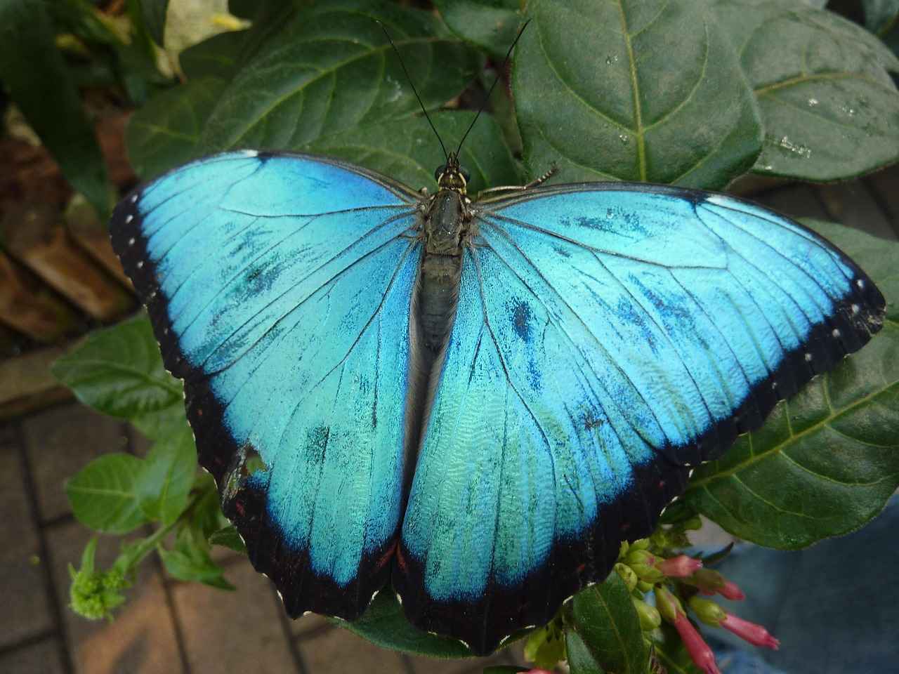Boşanma davası nasıl açılır?