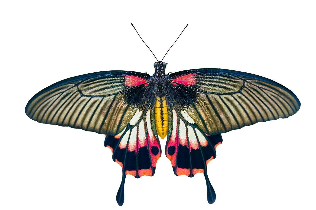 Boşanma davası ne kadar sürer?