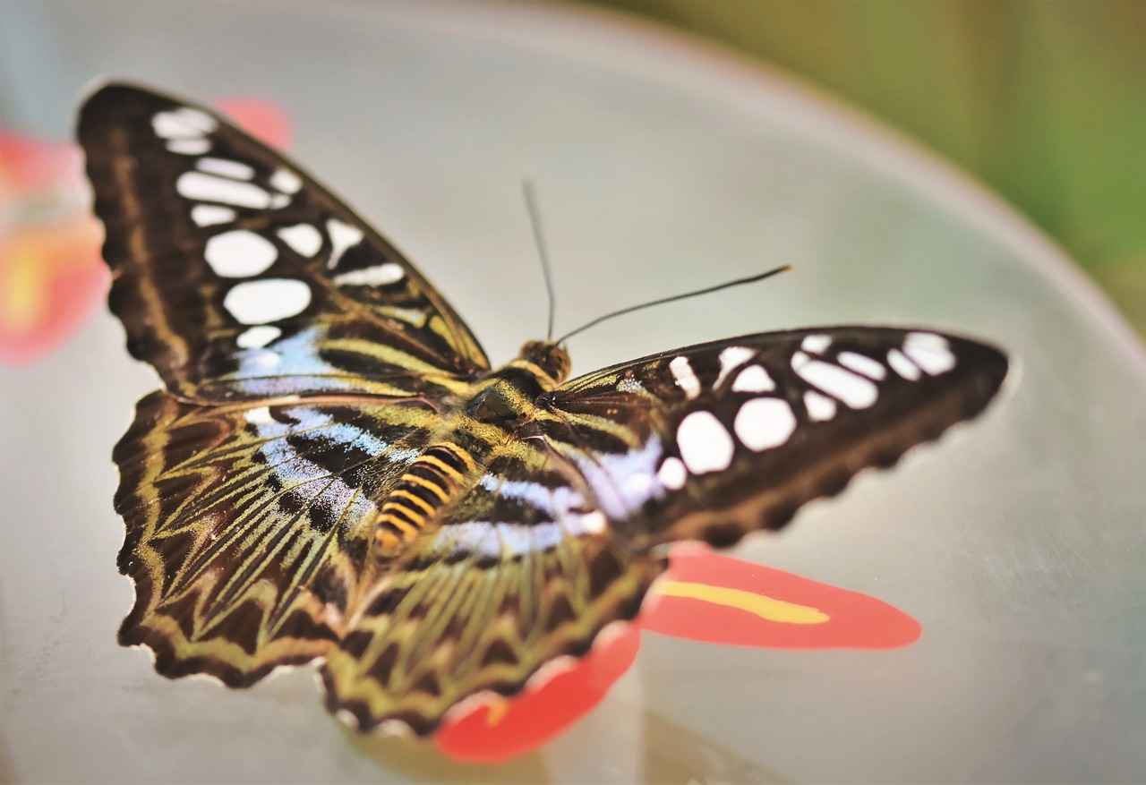 Boşanma davasında hak kaybı yaşamamak için nelere dikkat edilmelidir?