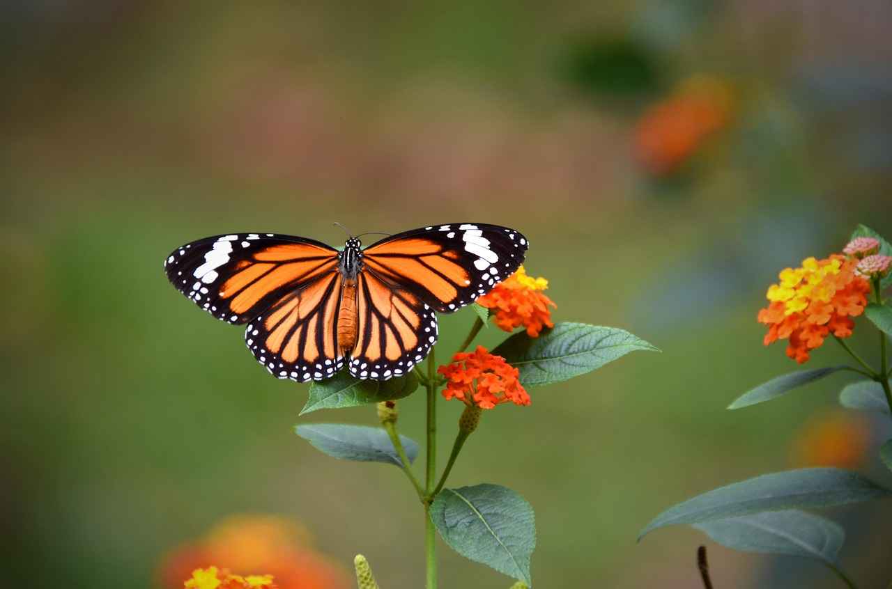 Boşanma davasında hakim iki tarafı barıştırmaya çalışır mı?