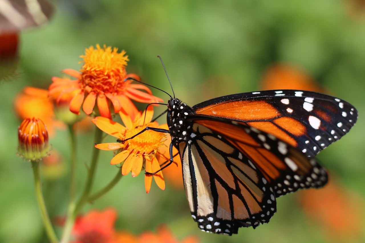 Boşanma davasında psikolojik şiddet nasıl ispatlanır?