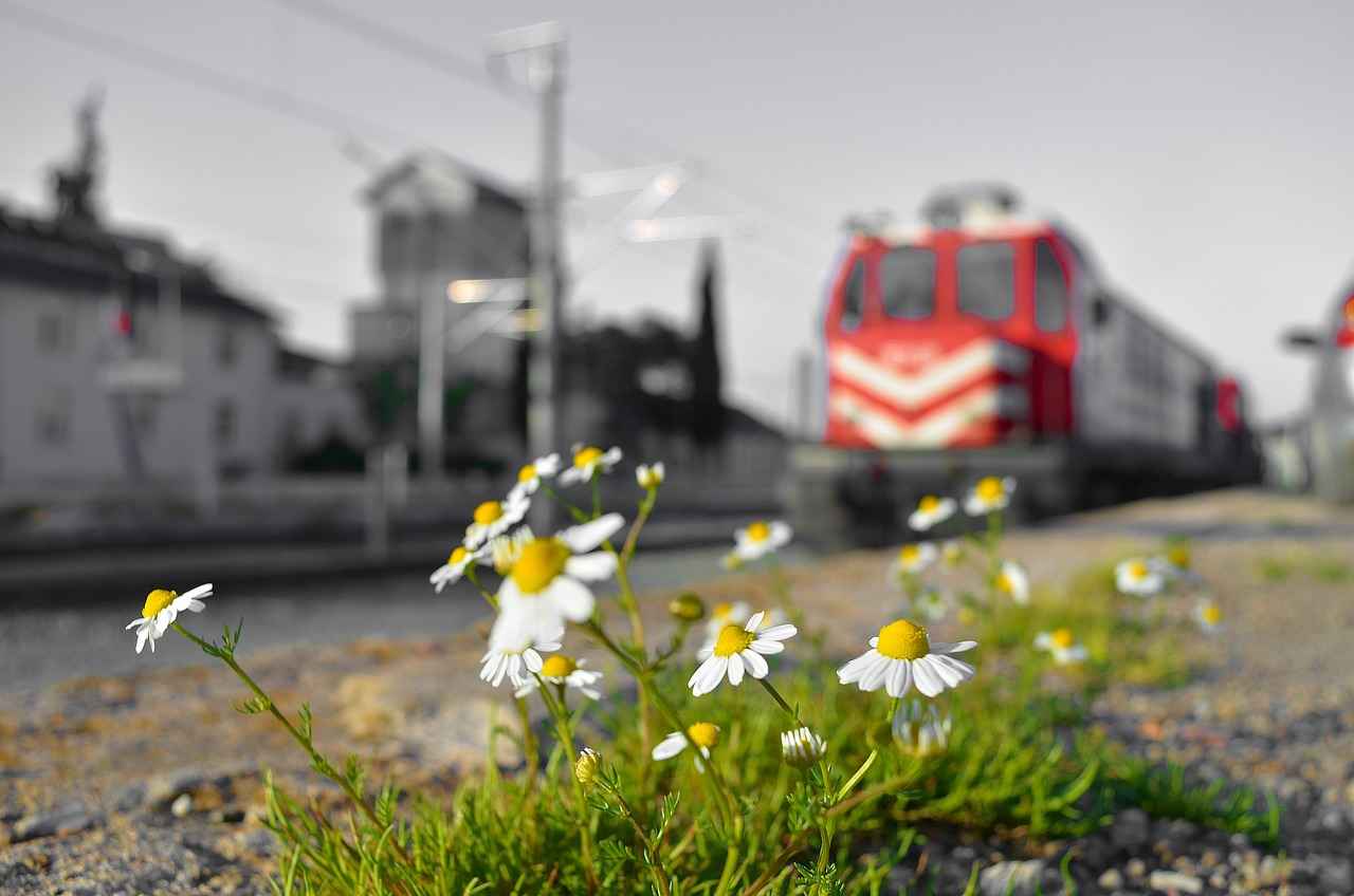 Boşanma kararı kesinleştikten sonra ne yapılmalıdır?