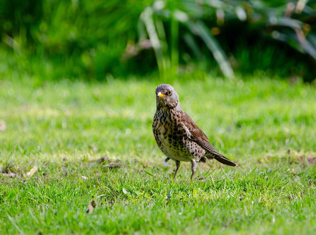 Boşanma sonrası soyadı değişikliği nasıl yapılır?