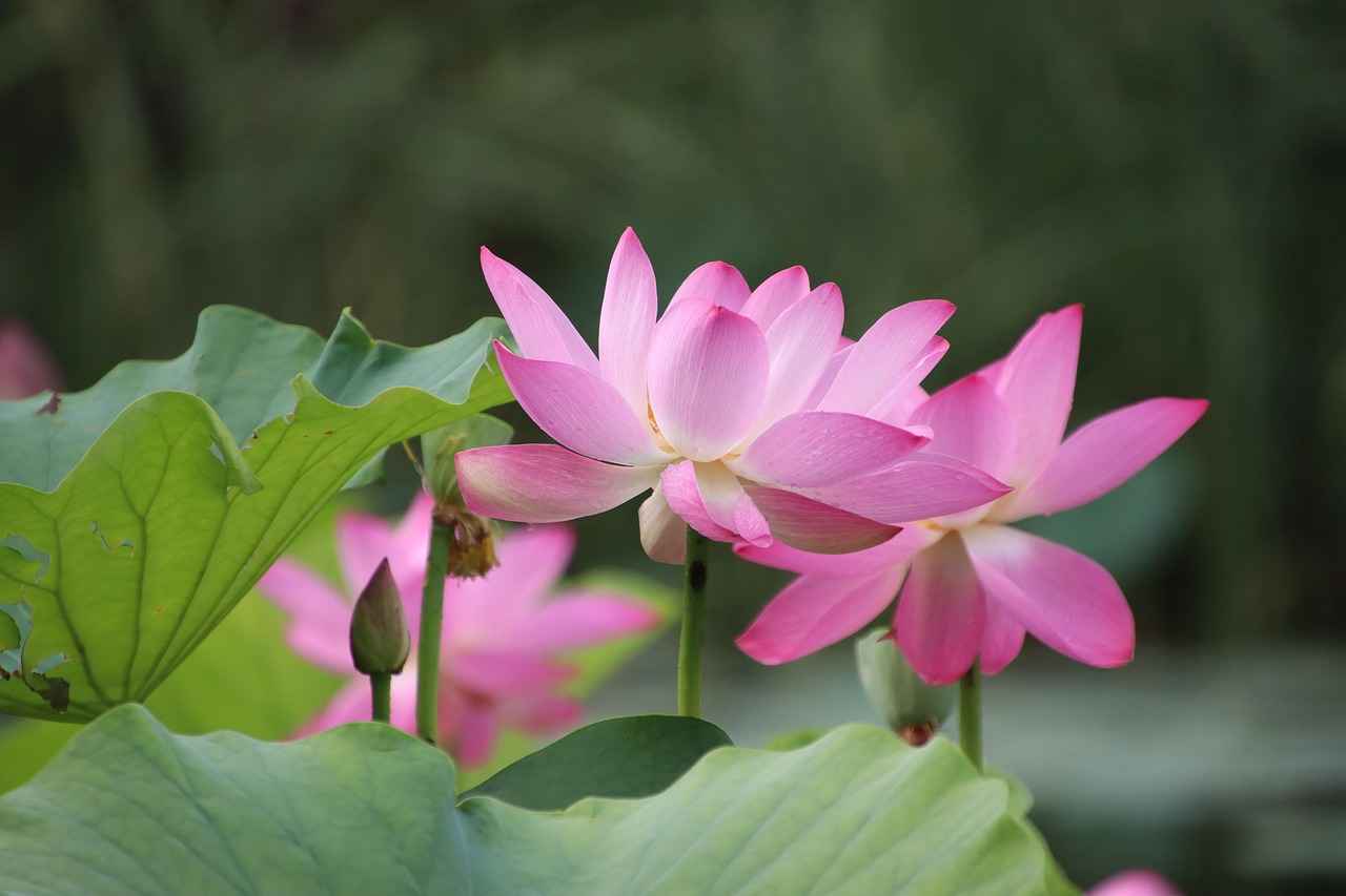 Boşanma sürecinde eşin harcamaları mahkemeye sunulabilir mi?