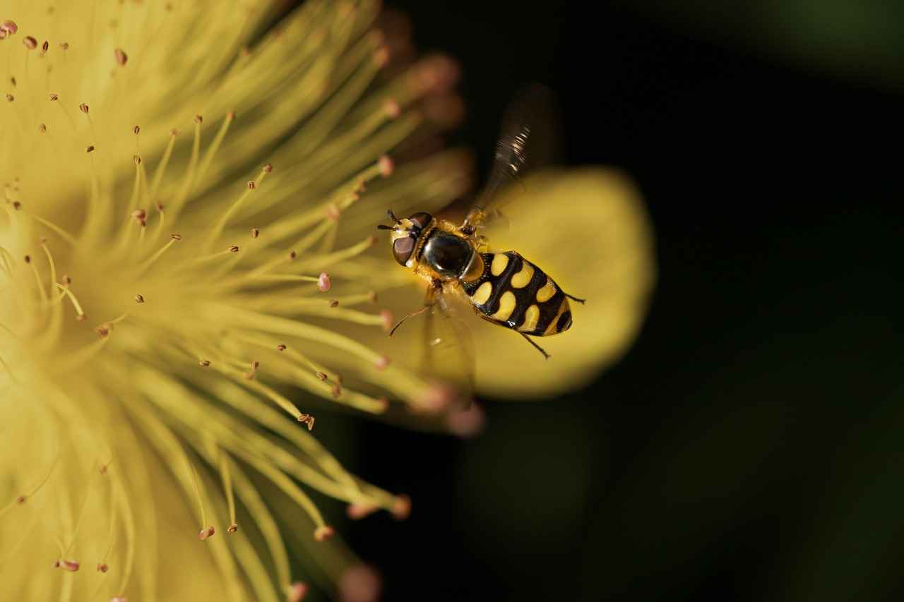 Çekişmeli boşanmada hakim hangi kriterlere göre karar verir?