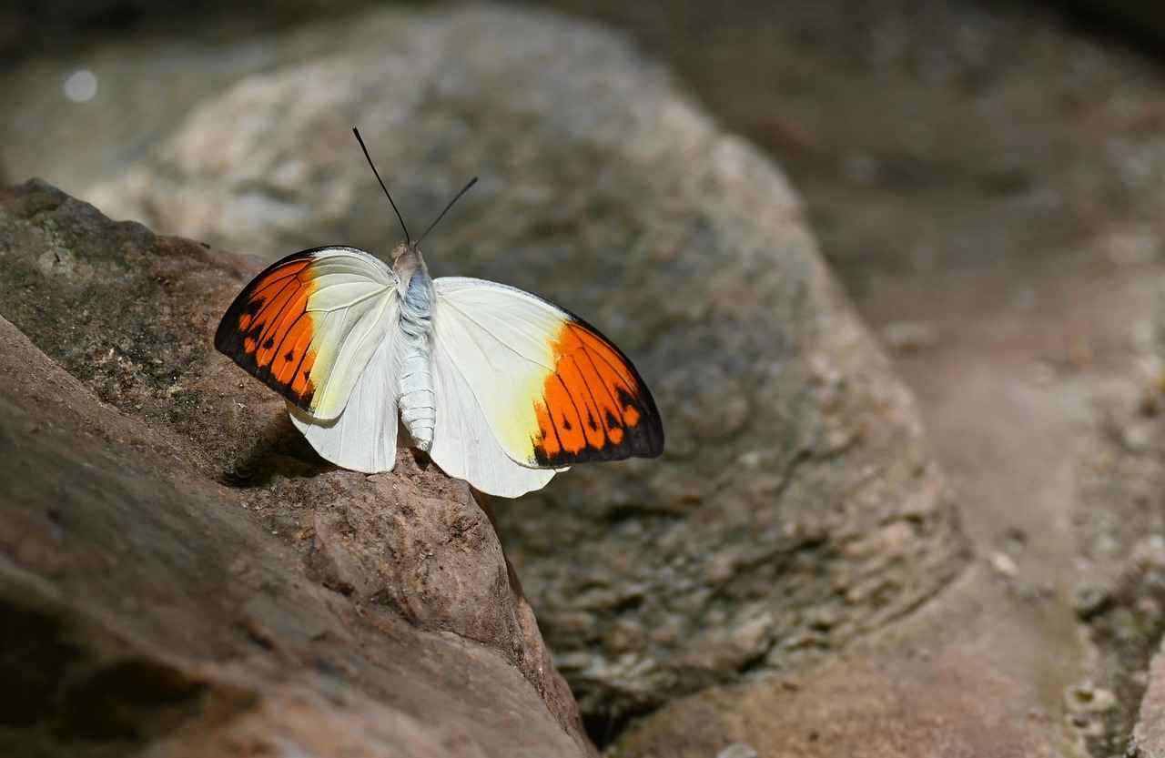 Eşim boşanmak istemezse dava nasıl ilerler?