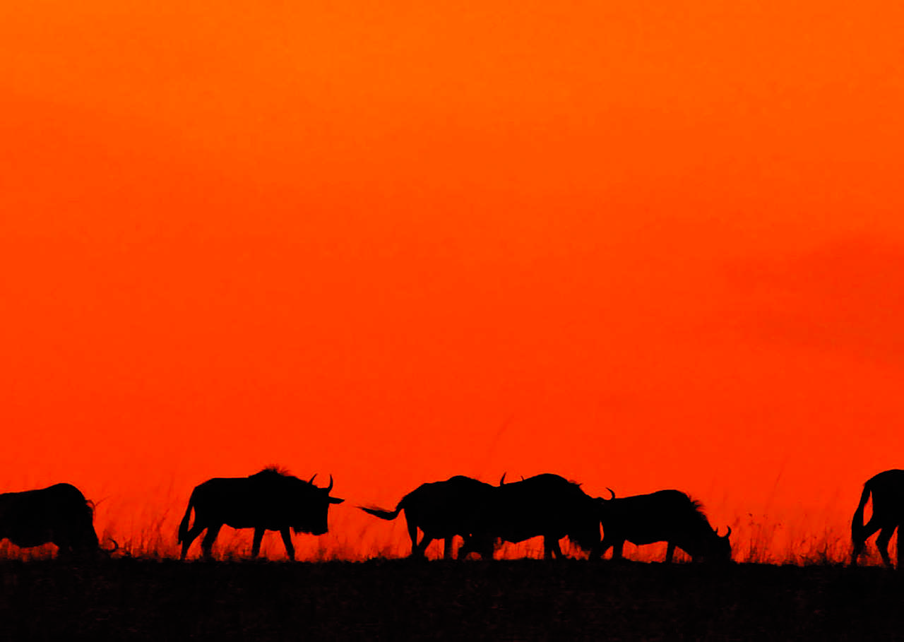 Eşin maaşı mal paylaşımında dikkate alınır mı?