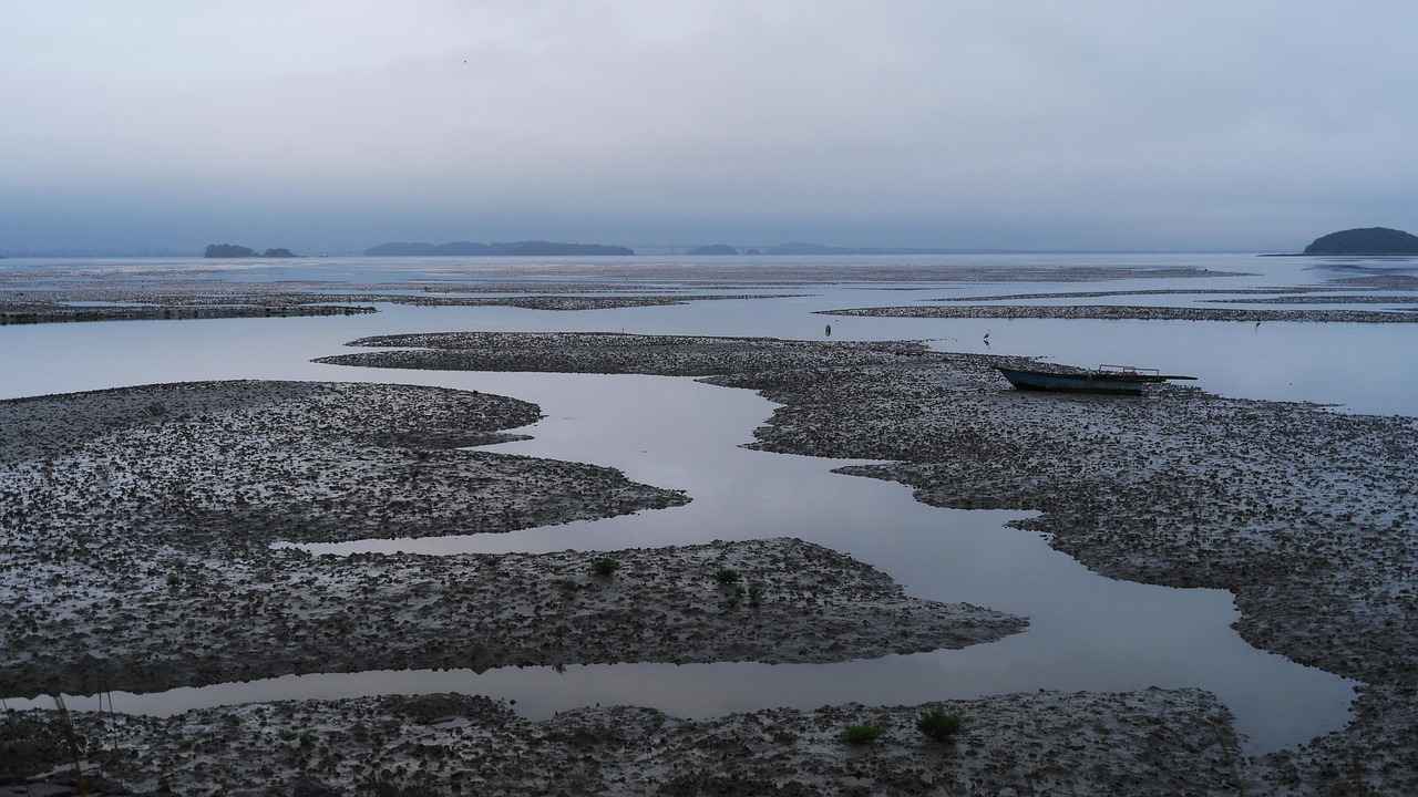 Eşler arasında yapılan mal paylaşımı sözleşmesi geçerli midir?