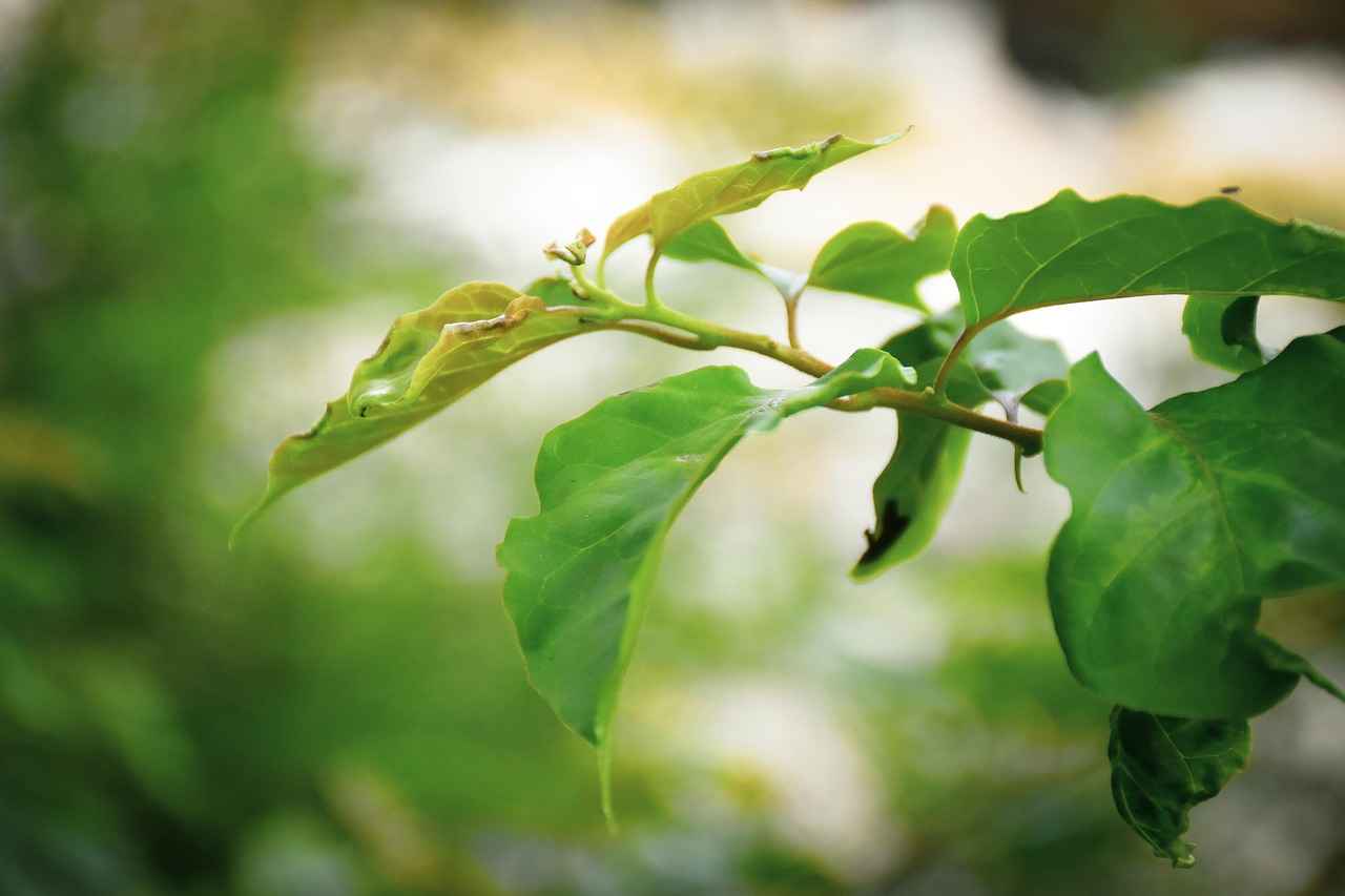 Eşlerden biri mal paylaşımı davası açmak istemezse ne olur?