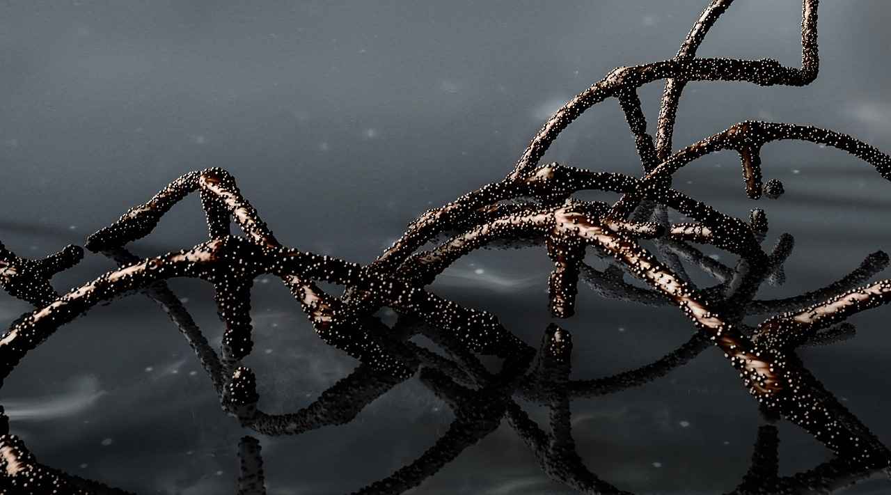 Evlilik iptali davasında DNA testi talep edilebilir mi?