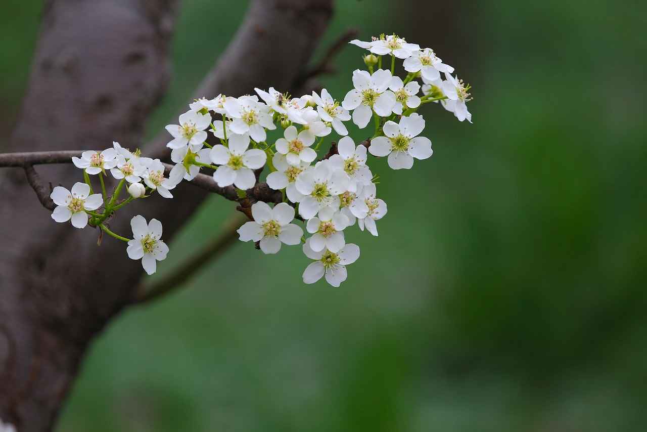 Mal paylaşımı davasında mahkeme nasıl karar verir?