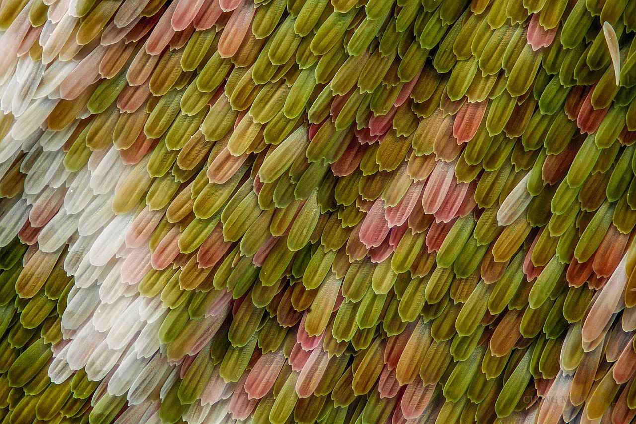 Nafaka alırken başka biriyle evlenirsem nafaka kesilir mi?