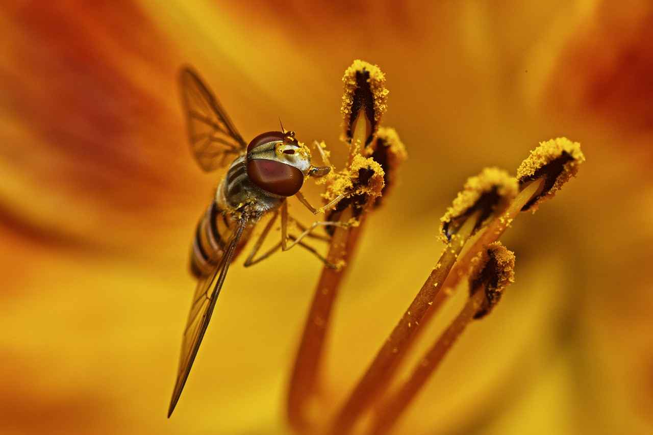 Nafaka artırımı için hangi şartlar aranır?