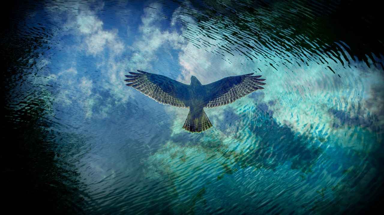 Şiddet gören eşin boşanma davası açarken dikkat etmesi gerekenler nelerdir?