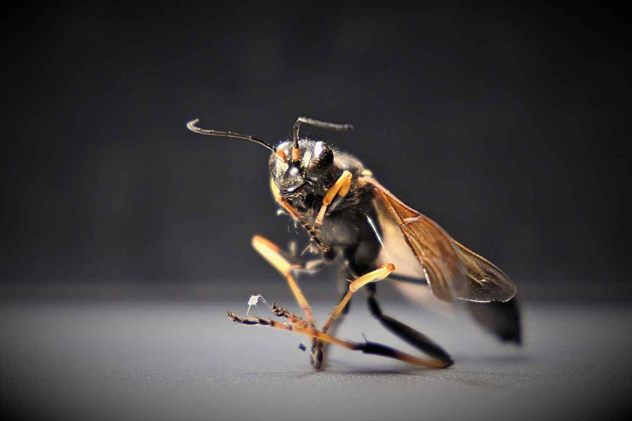 Velayet davasında sosyal hizmet uzmanları nasıl bir rol oynar?